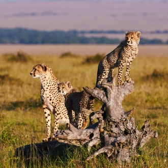 tourhub | Exodus Adventure Travels | Kenya & Tanzania Adventure 