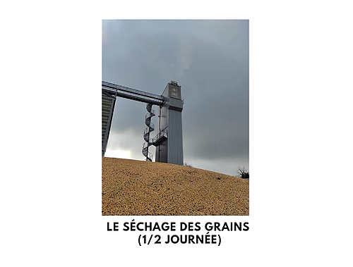 Représentation de la formation : MÉTIERS - LE SÉCHAGE DES GRAINS (1/2 journée)