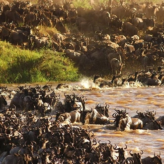 tourhub | Alaitol Safari | The Great Migration Safari 