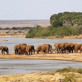 tourhub | Johnbow Tours and Travel | 3 Days Tsavo East & Tsavo West Safari 