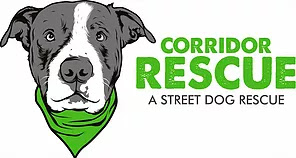 Corridor Rescue Inc. logo