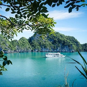 tourhub | LVP Travel Vietnam | Standard Halong 2 days 1 night - overnight on cruise - Bai Tu Long routine 