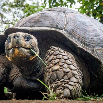 tourhub | Ecuador Galapagos Travels | 6 Days Galapagos Highlights 