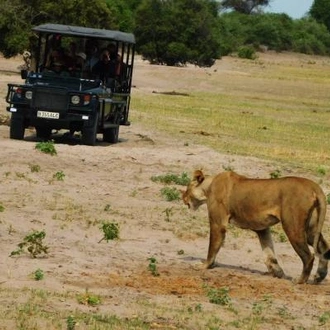 tourhub | On The Go Tours | Namibia to Falls - 12 days 