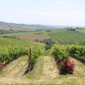 tourhub | SpiceRoads Cycling | Authentic Central Italy by Bicycle  