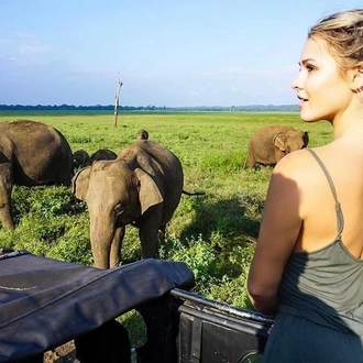 tourhub | Stelaran Holidays | Elephant in Sri Lanka 