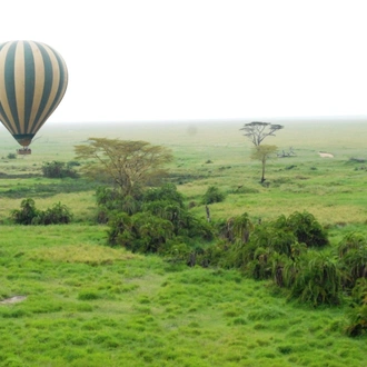 tourhub | Exodus Safaris | Budget Tanzania Safari to Serengeti & Beyond – Wildlife Lodge 