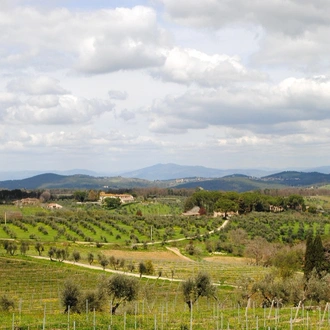 tourhub | Stile Italiano Tours | Wine Trails and Culinary Delights of Tuscany 