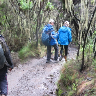 tourhub | Burigi Chato Safaris | 6 DAYS MACHAME ROUTE KILIMANJARO HIKING GROUP JOINING DEPARTURE DATES & COST IN 2023,2024,2025. 