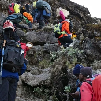 tourhub | Spider Tours And Safaris | 6 Days Kilimanjaro Climb Umbwe Route 