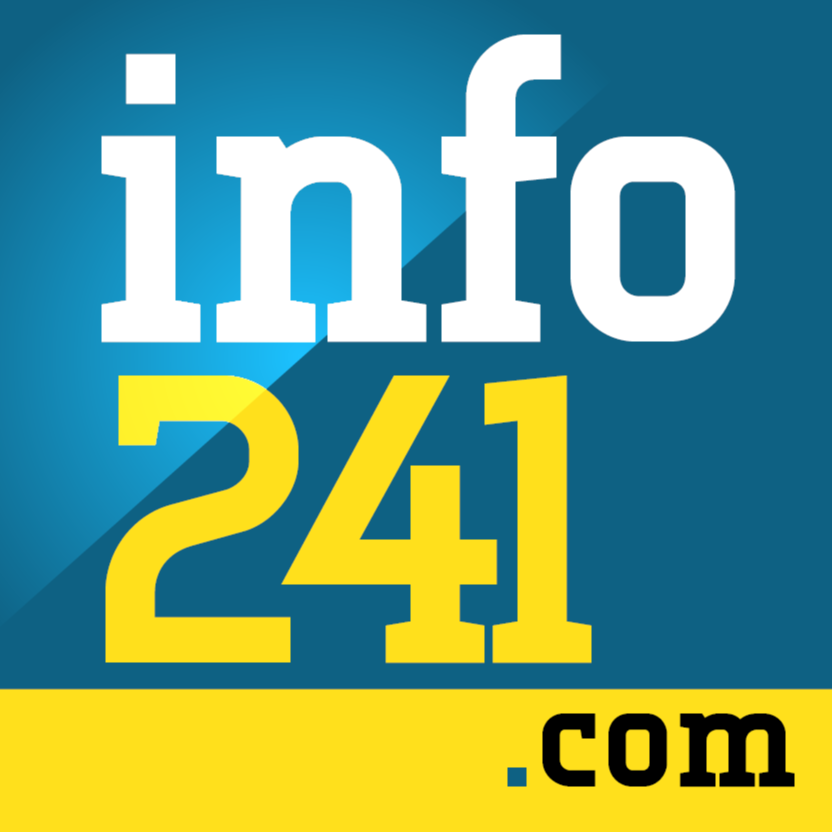 Info241 logo
