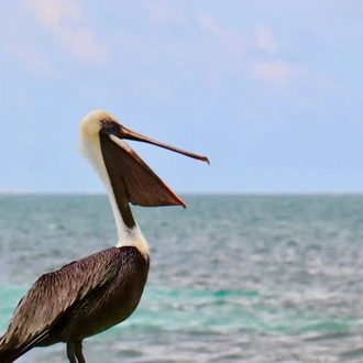 tourhub | Today Voyages | Atypical Yucatan 