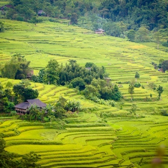 tourhub | Mr Linh's Adventures | 3-day Trekking in Ha Giang - Dong Van Karst Plateau 