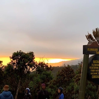 tourhub | Kilimanjaro Habitat Safaris | 7 Days Kilimanjaro Climb Machame Route 