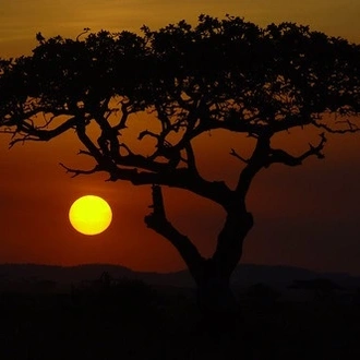 6 Days Tanzania Luxury Serengeti tours