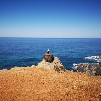 tourhub | Exodus Adventure Travels | Walking Portugal's Wild Algarve 