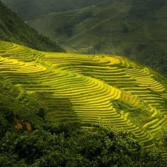 tourhub | Tweet World Travel | Northern Vietnam In-Depth Tour 