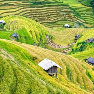 tourhub | Today Voyages | Around the Enchanting Scenery of Sapa 