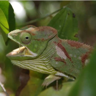 tourhub | World Expeditions | Culture & Wildlife of Madagascar 