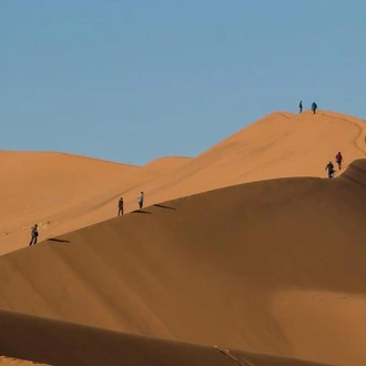 tourhub | Chameleon Safaris Namibia | 3 Day Sossusvlei Express Accommodated Safari 