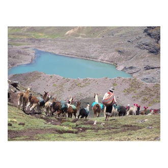 tourhub | Crooked Compass | Wild Peru 