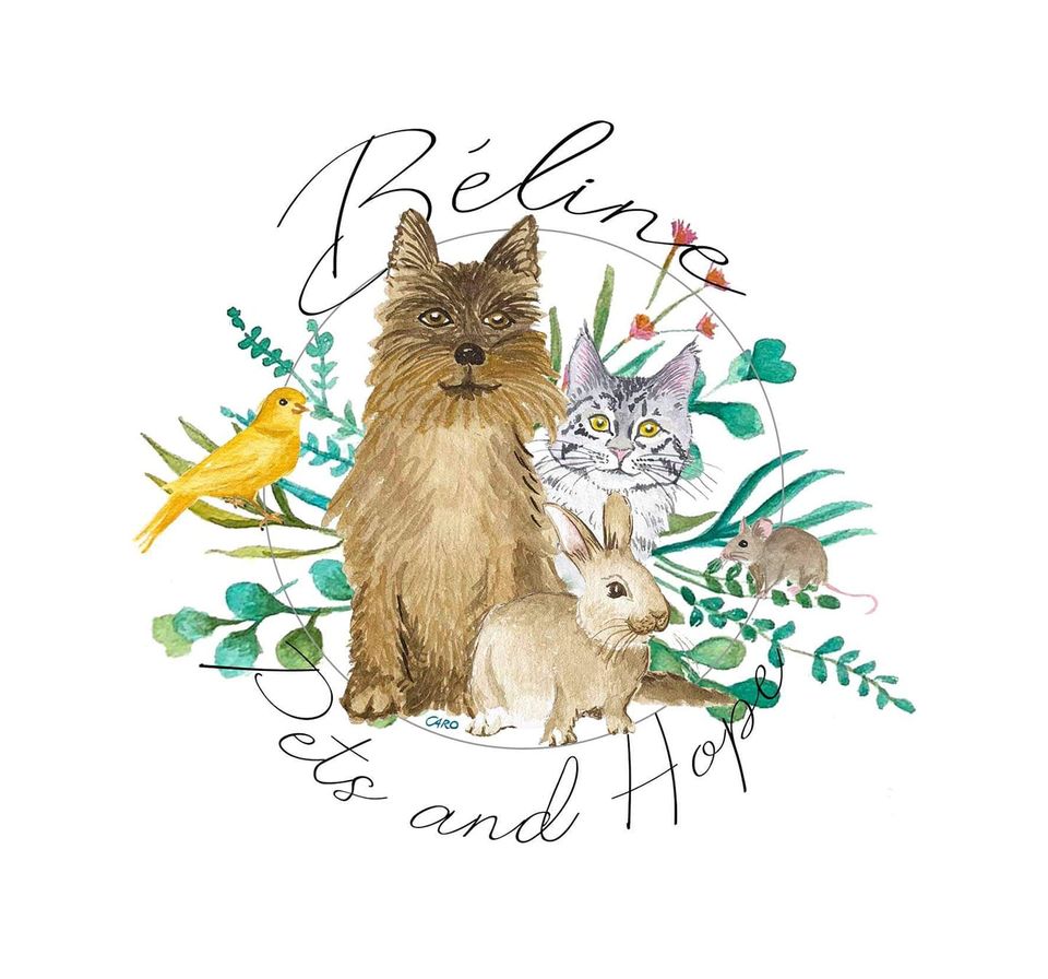 Béline, Pets and Hope ASBL logo