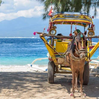 tourhub | Destination Services Indonesia | Exotic Gili Islands, Private Tour 