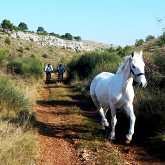 tourhub | Intrepid Travel | Cycle Croatia & the Balkans 