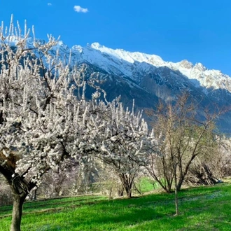 tourhub | Beyond the Valley LLP | Hunza Valley Cultural Tour 