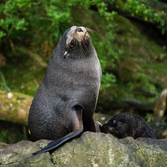 tourhub | Heritage Expeditions | Unseen Fiordland and Stewart Island 