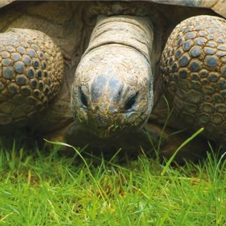 tourhub | World Expeditions | Galapagos Islands: Volcanic Wonders aboard Origin, Theory & Evolve 