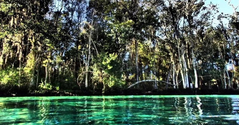 Rainbow River Drift Dive