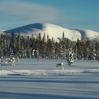 tourhub | Exodus Adventure Travels | Cross-Country Skiing in Lapland 