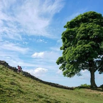 tourhub | Walkers' Britain | Hadrian's Wall Walk From Whitley Bay - 8 Days 