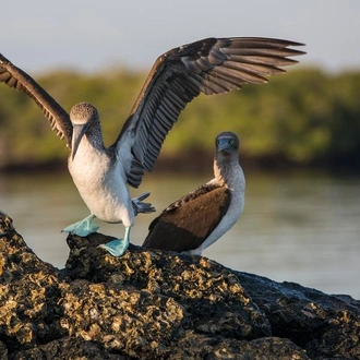 tourhub | G Adventures | Galápagos Express Adventure: Wilderness & Wildlife 