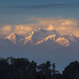 tourhub | Agora Voyages | Darjeeling Tea Estate Tour 