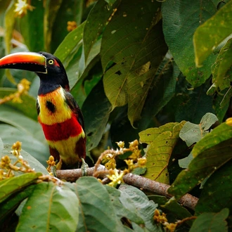 tourhub | Explore! | Nicaragua - Land of Lakes and Volcanoes 