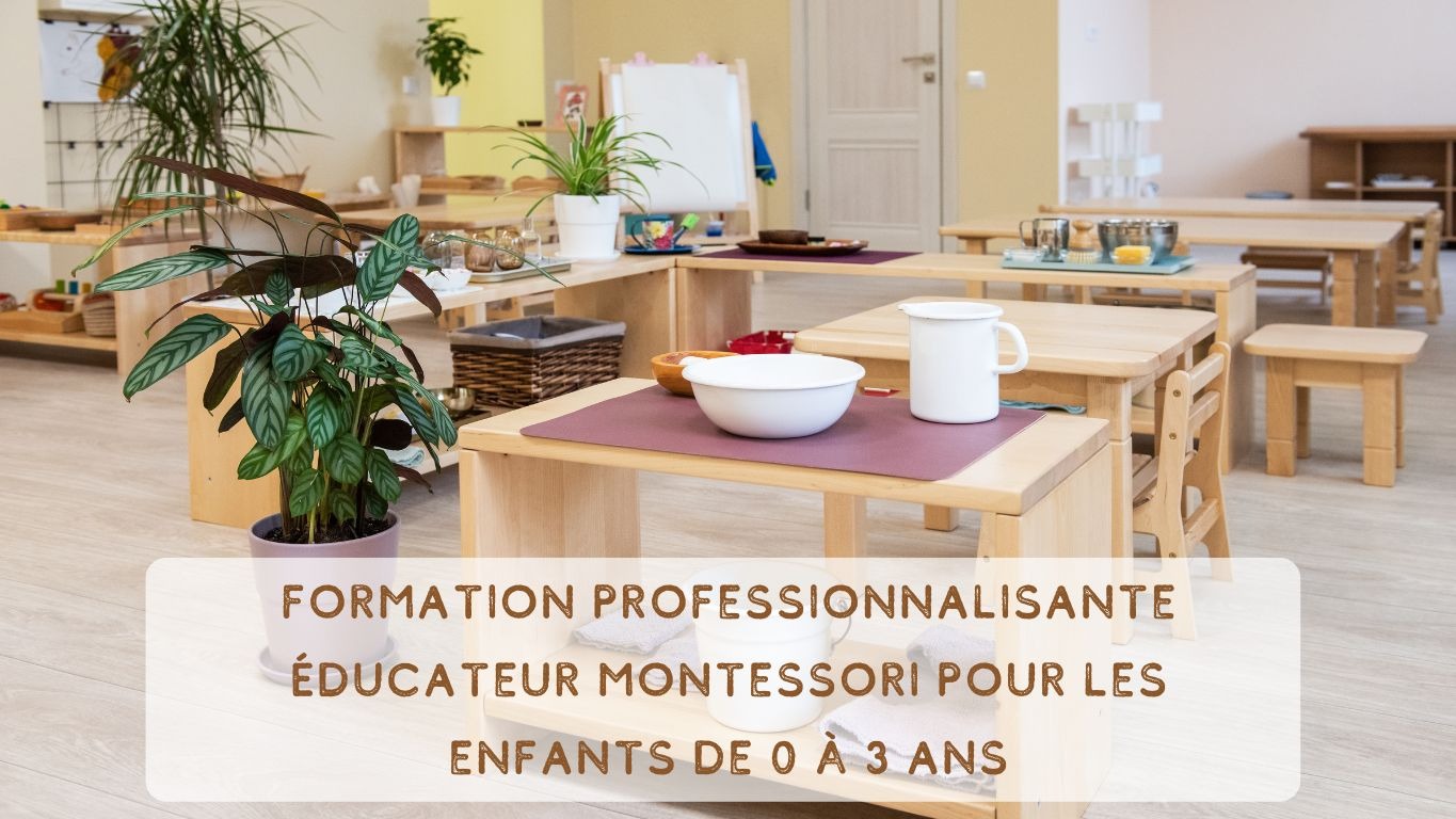 Représentation de la formation : Formation professionnalisante Educateur Montessori pour les enfants de 0 à 3 ans