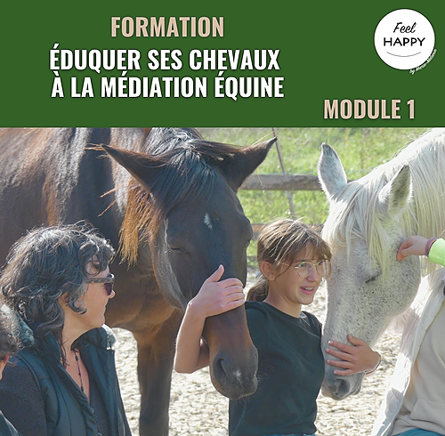 Représentation de la formation : Eduquer ses chevaux à la médiation équine - Module 1