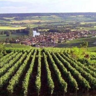 tourhub | UTracks | Champagne Trails 