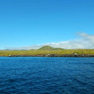 tourhub | Bamba Travel | Galapagos Island Hopping Diving Full Experience 8D/7N 