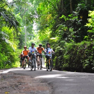 tourhub | Active Bali | Embark on a 6-day Bali journey, tailored for adventurous souls seeking thrilling escapades: Exclusive Tour 