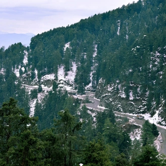 tourhub | Go Book Tours | Golden Triangle Tour with Shimla and Toy Train Ride 