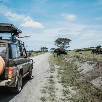 tourhub | GoExplore Safaris | Ultimate Gorilla Trekking Safari 