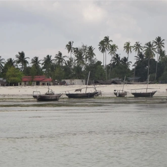 tourhub | Bamba Travel | Zanzibar Experience 4D/3N (from Stone Town) 