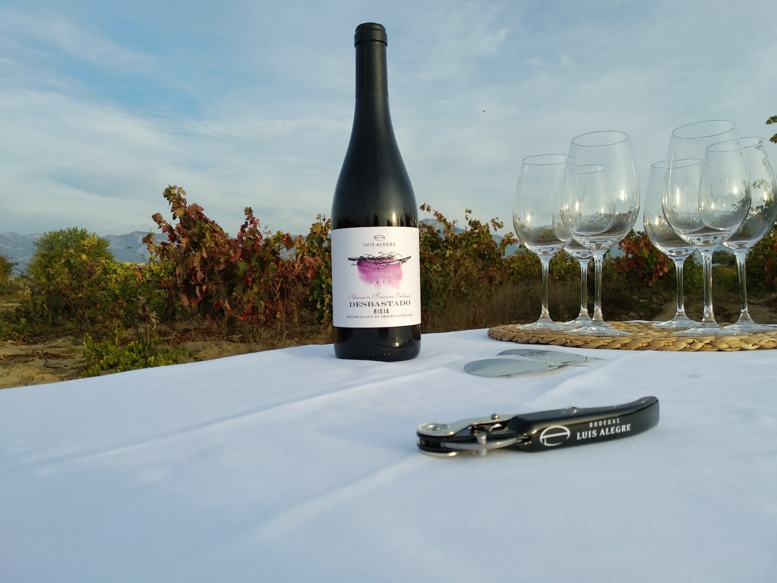Rioja Wine Tour: 2 Wineries from San Sebastián in Semi-Private with Pick-Up - Alloggi in San Sebastian