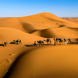 tourhub | TouaregTrails | Marrakech, Gran Tour del Deserto e dell'Atlante - 8 giorni 