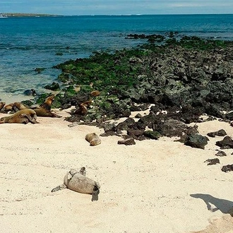 tourhub | BM Tours | Galapagos - Exploring San Cristobal Island 4 Days 