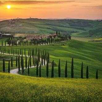 tourhub | Travel Department | Classic Tuscany including Florence and Pisa 