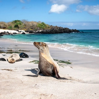 tourhub | Ecuador Galapagos Travels | 8 Days Galápagos Island Hopping Adventure: Wildlife & Wonders 